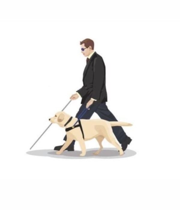 What is the reason behind blind people using guide dogs instead of canes?
