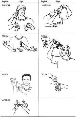 Types of Sign Language Translation Services
