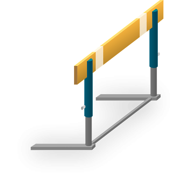 Conquering the Dual Challenge