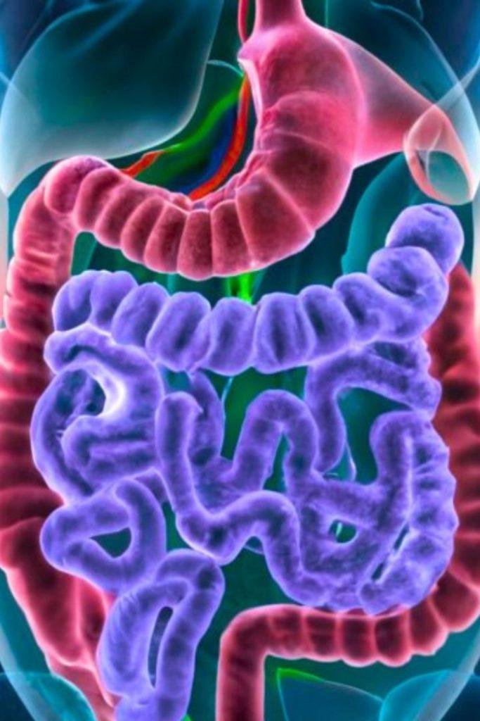  DIETARY MODIFICATIONS