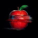 SPECIAL EDUCATION IN GERMANY