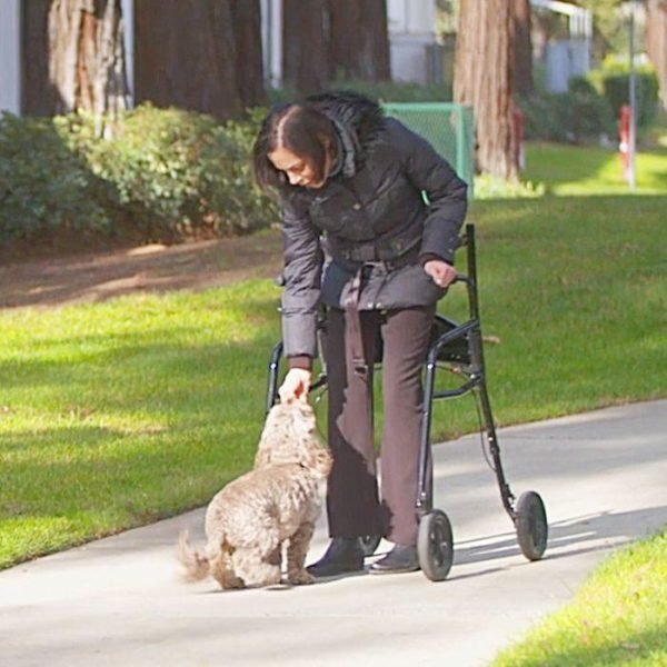 Scholarly Articles on Improving Healthcare Access for Disabled Individuals