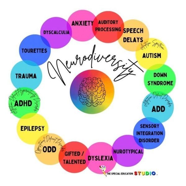 The Evolution of Special Educational Needs Support